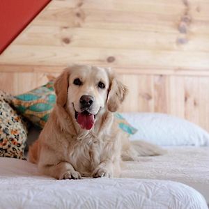 Habitación Doble en Ático